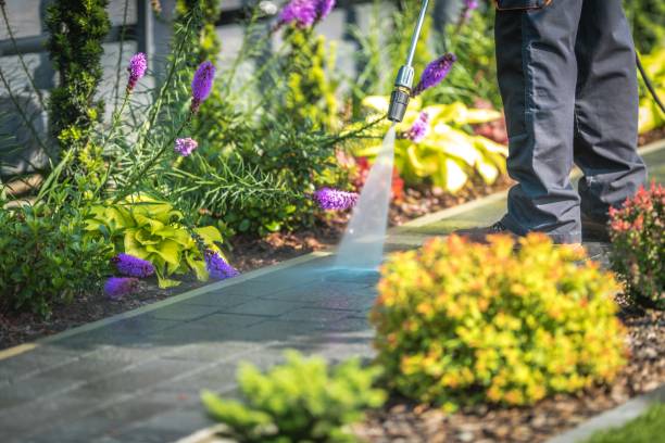 Best Concrete Surface Cleaning in Garland, NC